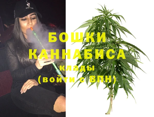 дмт Гусь-Хрустальный