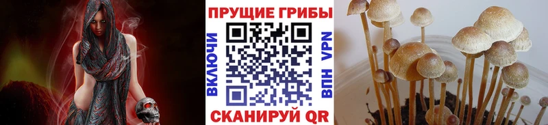 Галлюциногенные грибы ЛСД  Купить закладки  Печора 