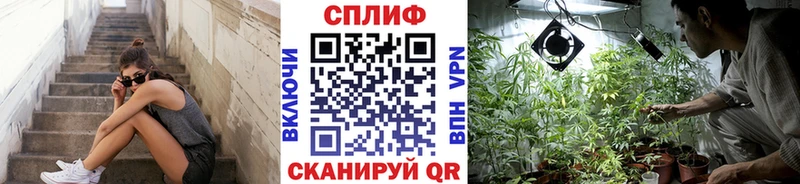Конопля White Widow  Купить где  Печора 